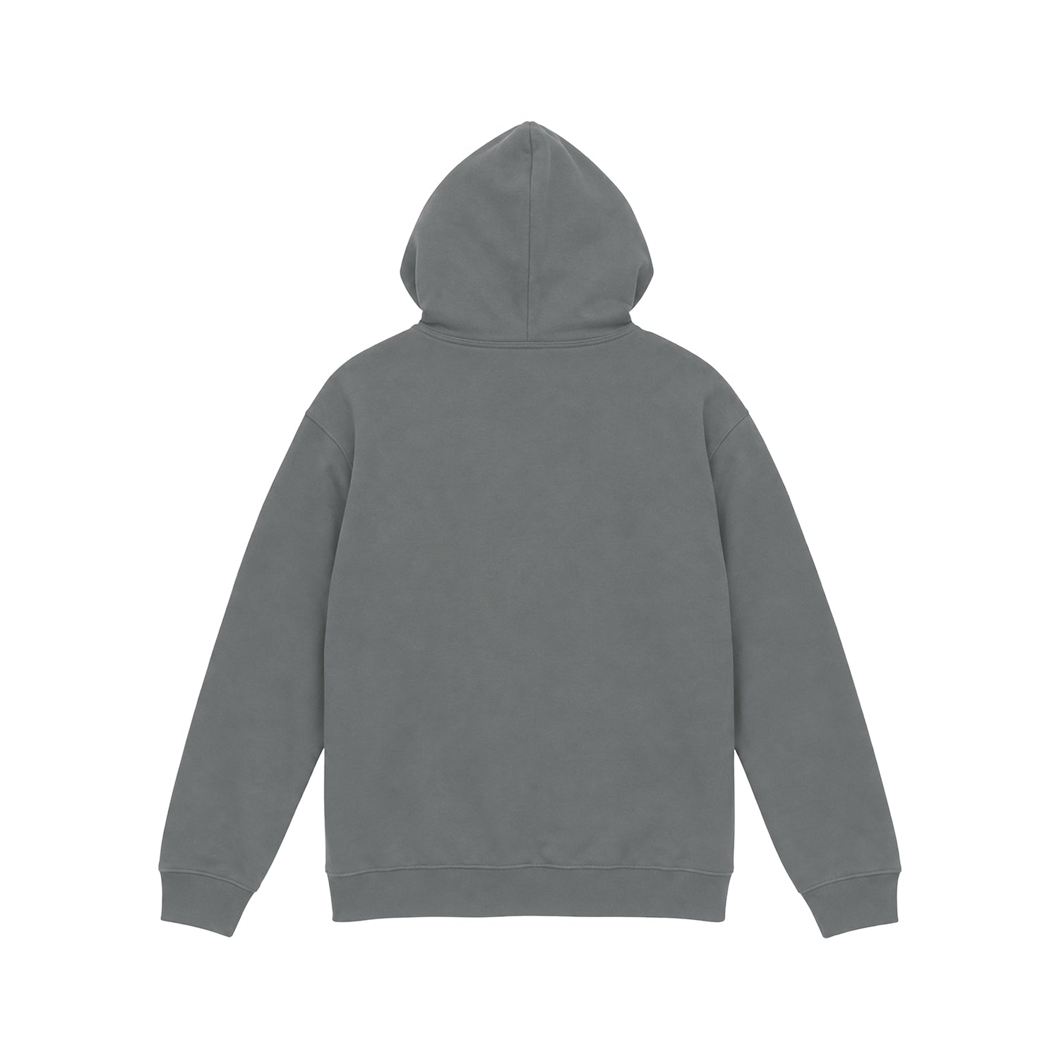 HAENTY HOODIE